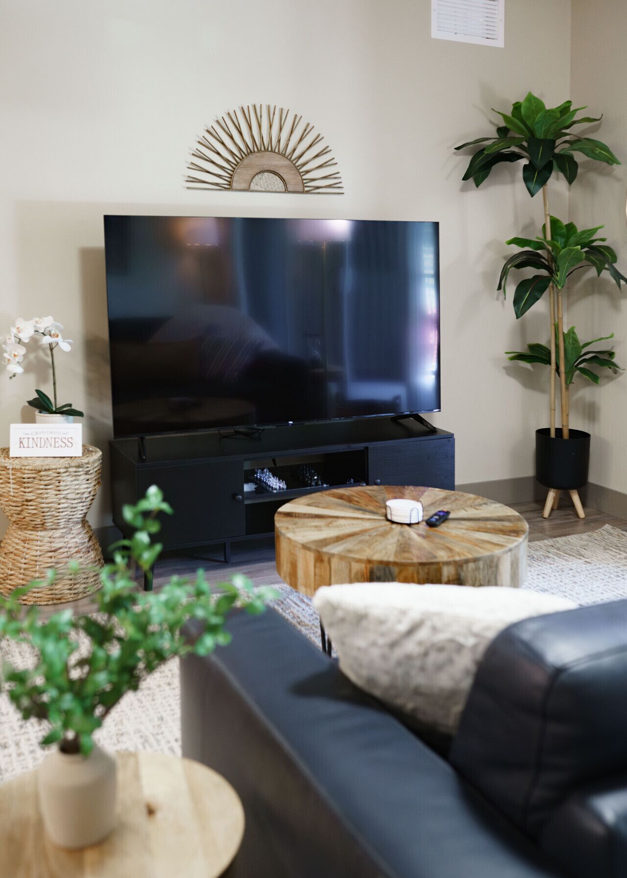 Smart TV