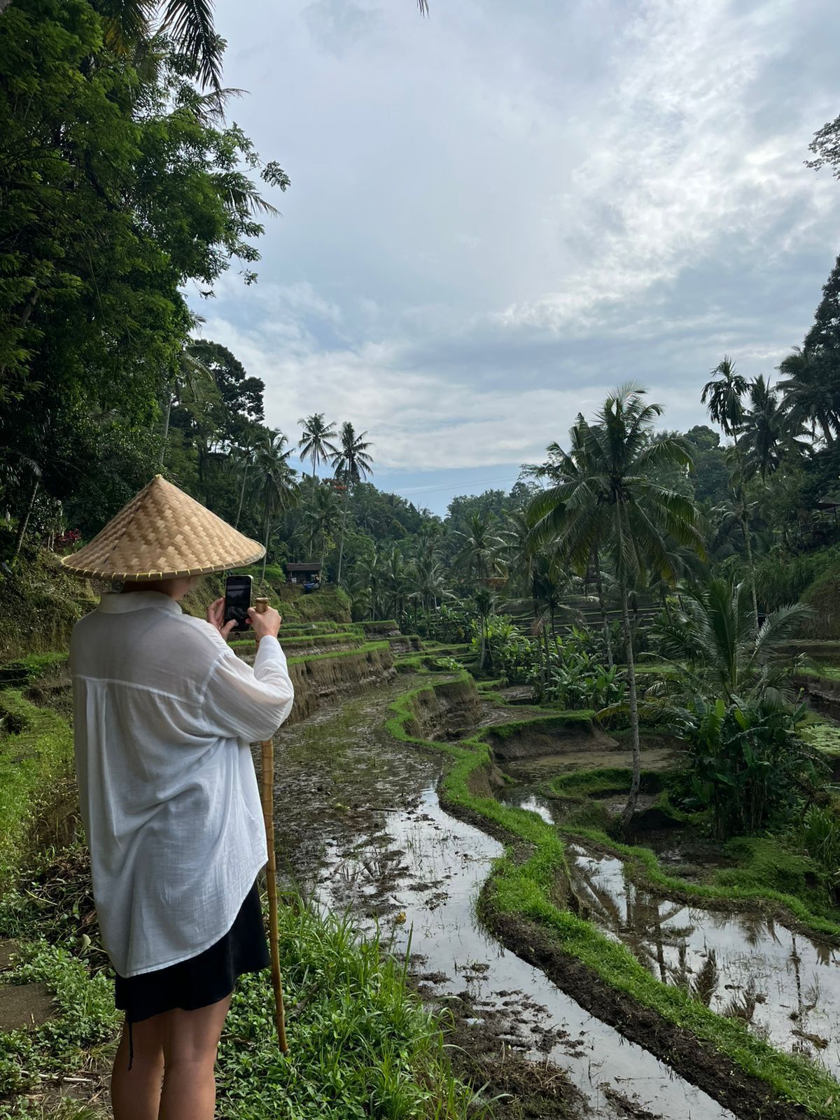 A person taking a photo of terraced rice fields with a traditional conical hat, surrounded by lush greenery and palm trees.