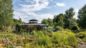 En rustik trækonstruktion med tag, omgivet af frodig vegetation og en lille sø.
