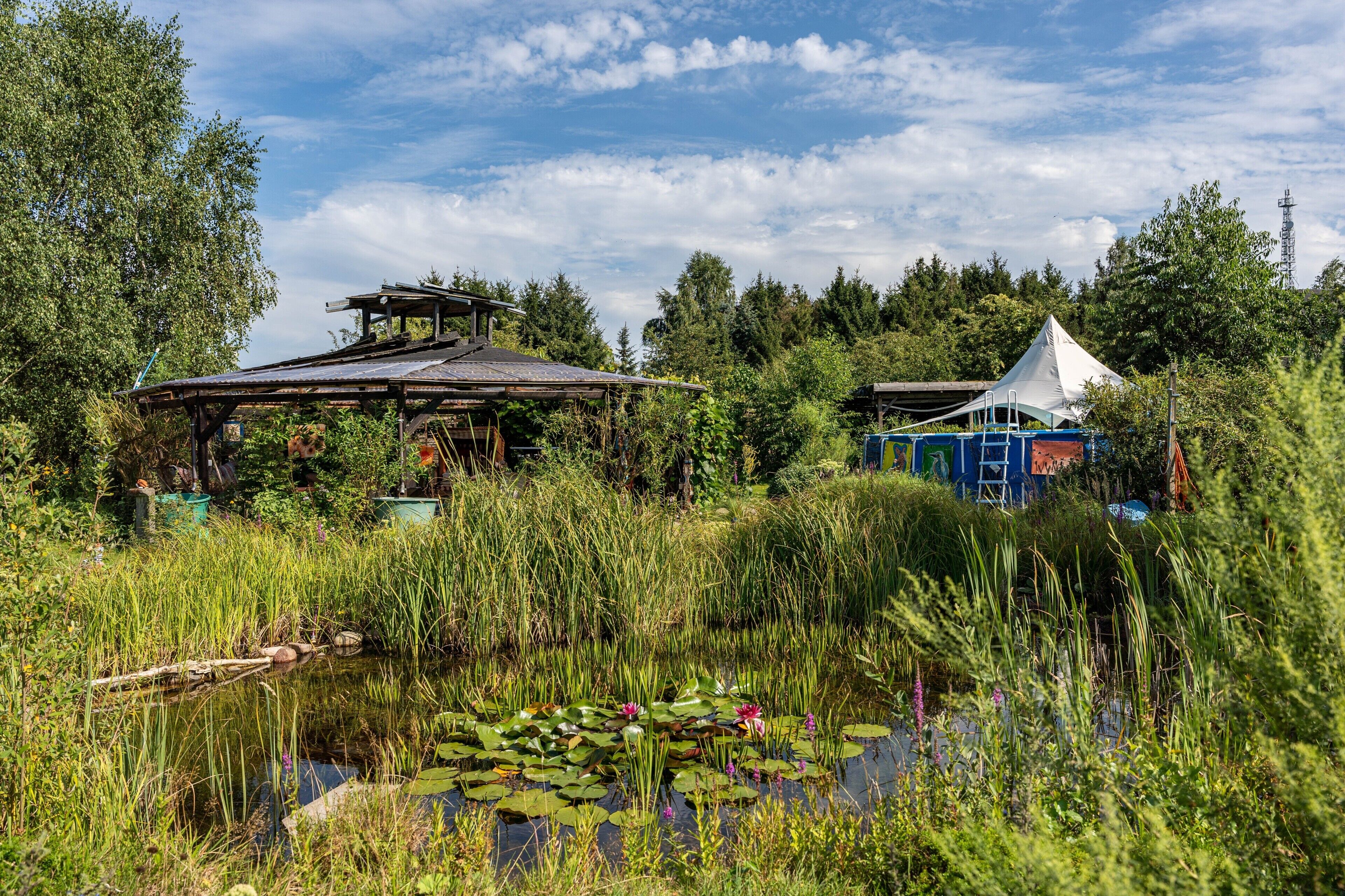 Een rustieke houten constructie met een dak, een vijver met waterlelies en een wit, tentachtig gebouw.