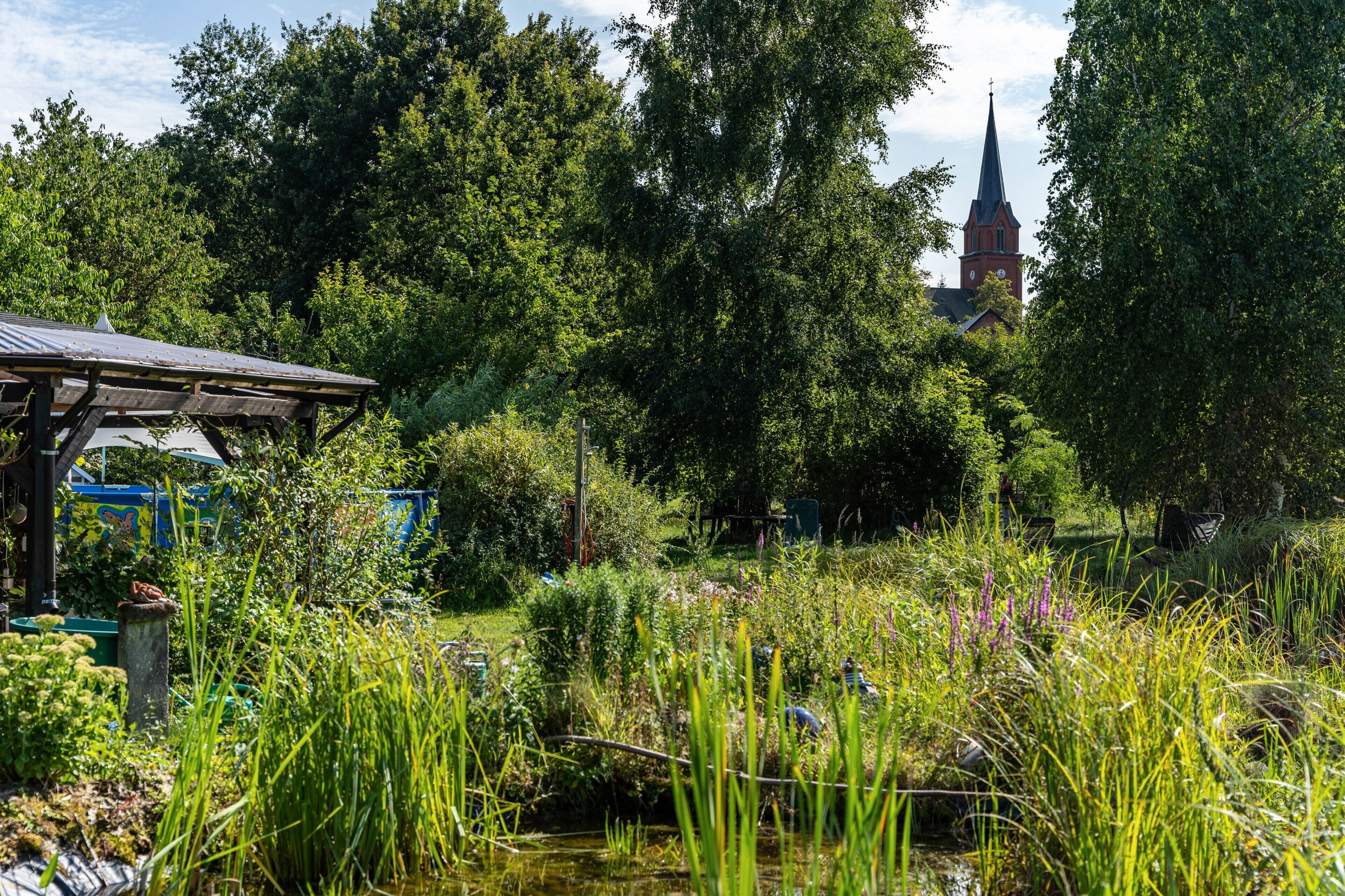 Ein Garten mit Teich, Laube und einer Kirche im Hintergrund.