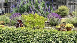 Ein Garten mit verschiedenen Pflanzen und einem Holzzaun im Hintergrund.