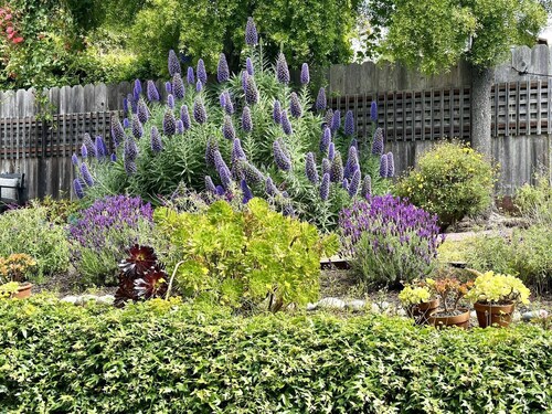 Relax at The Deep Blue Nest –Family Friendly Getaway by the Ocean & Private Yard