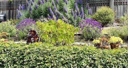 Relax at The Deep Blue Nest –Family Friendly Getaway by the Ocean & Private Yard