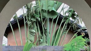 Phòng tắm