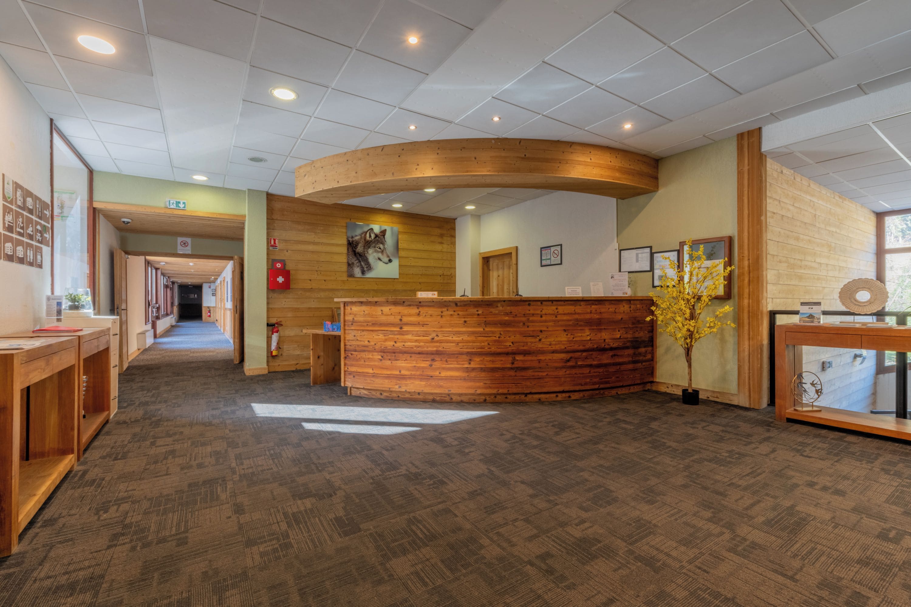 A reception area with a wooden reception desk, a fire extinguisher, framed pictures on the walls, and a plant.