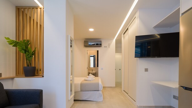 A modern hotel room with a sofa, a small table with a cactus, a potted plant, a bed with a mirror, a TV, and a minibar. - Apartment in Las Canteras by the Beach (Las Palmas de Gran Canaria)