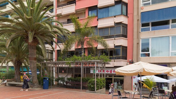 Een meerlaags gebouw met balkons, een palmboom en terrasmeubilair.