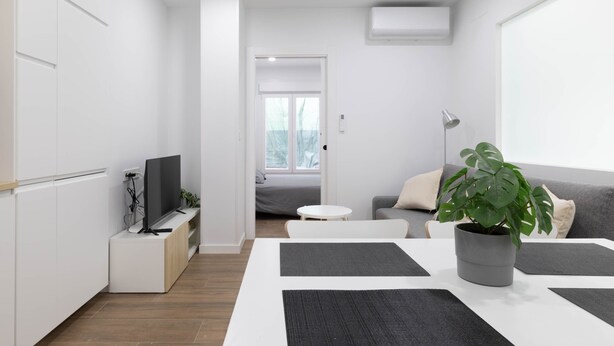 A modern living room with a flat-screen TV, a potted plant, and a grey sofa. - Ría De San Cosme María Apartment with Mountain Views, Shared Garden & Air Conditioning (San Cosme-Outes)