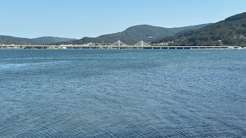 Imagen general