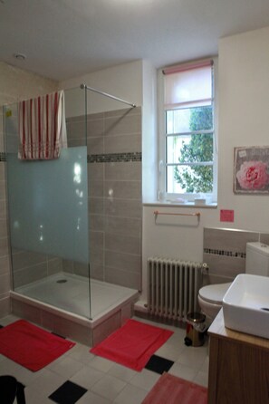 Shower, hair dryer, soap, toilet paper - The Gîte du Manoir in the park in the center of the village (Bréançon)