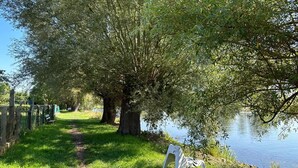 Ein Weg entlang eines Sees mit Bäumen und einem Zaun.