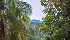 A lush green landscape with a palm tree and dense foliage. - Mami Resort (Tangalle)