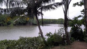 A calm river with dense vegetation and palm trees. - Mami Beach Resort (Tangalle)