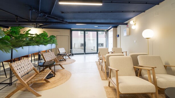 A modern waiting area with a mix of wooden and upholstered chairs, a large potted plant, and a view through a glass door to the outside.