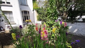 A garden with various flowers and plants in front of a white building with windows and a door. - Double room Delay garden view (Bruxelles)
