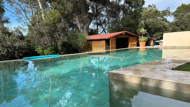 Une piscine aux eaux cristallines, avec une structure en bois en arrière-plan, entourée d’arbres.
