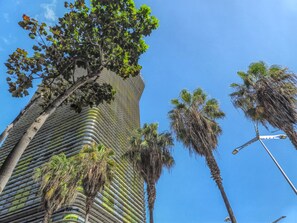 Apartment | Exterior - Studio in Las Palmas Near Playa de Las Canteras (Las Palmas de Gran Canaria)