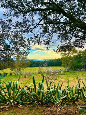 Property grounds - Apartment 'Bosque' with Mountain View, Wi-Fi and Air Conditioning (Girona)