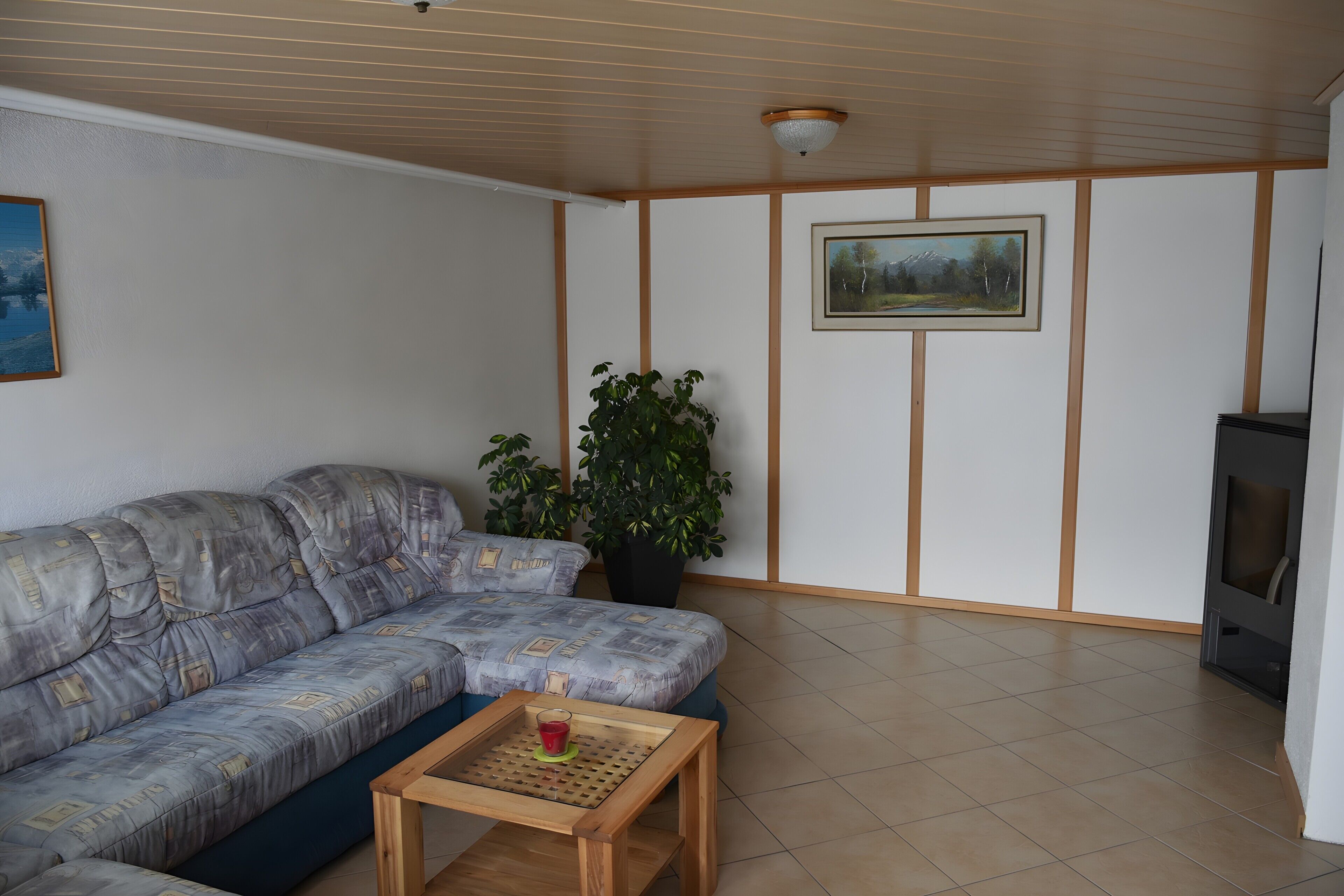 Televisión y chimenea 