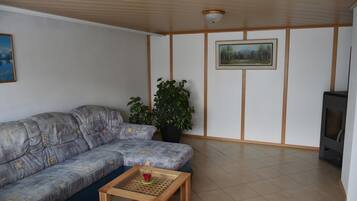 Televisión y chimenea