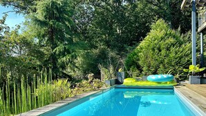 Une piscine à l’eau d’un bleu cristallin, entourée d’une végétation luxuriante et de plantes de bambou.