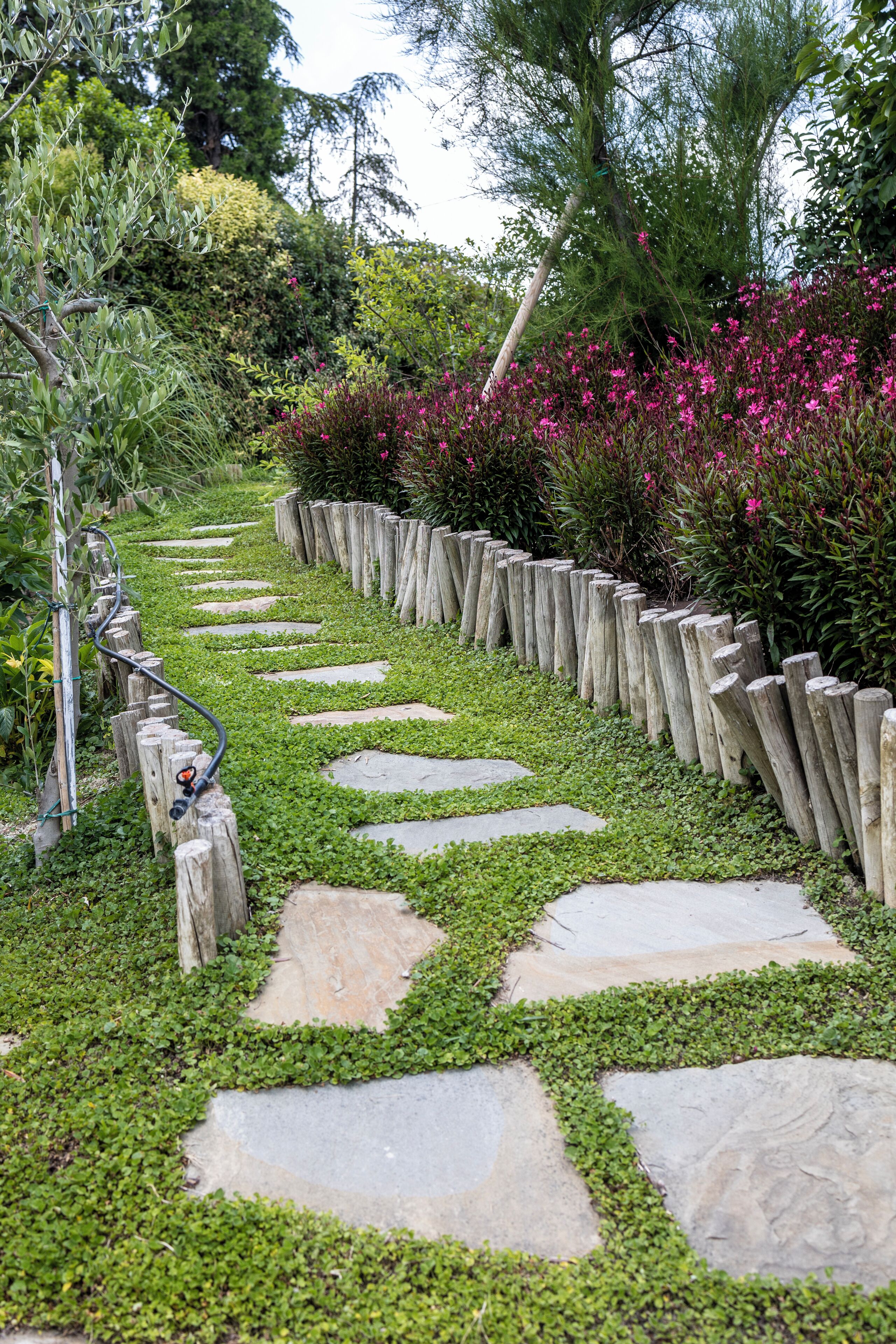 A garden pathway with stone slabs and a wooden fence.