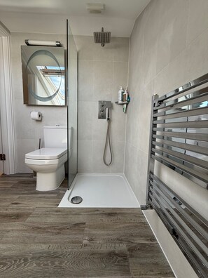 Shower, hair dryer, towels