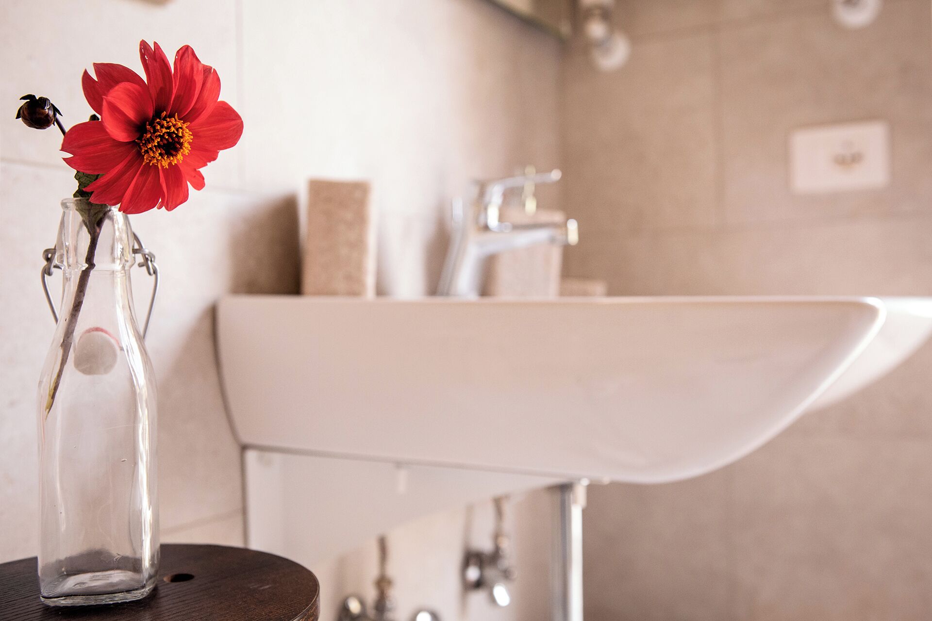 Un baño con un lavabo blanco, un florero de cristal con una flor roja y una pastilla de jabón en la encimera.
