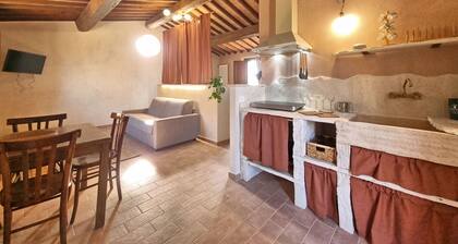 Farmhouse with panoramic views surrounded by forest in the center of Umbria