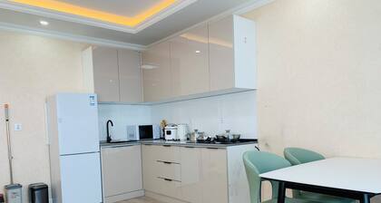In the Central Of UB, New apartment 208
