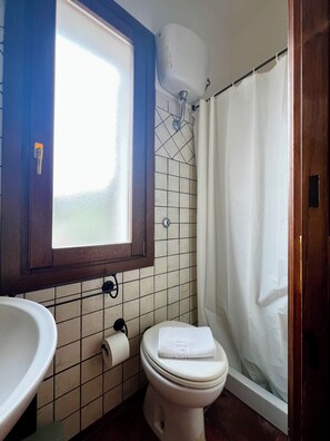 Shower, hair dryer, bidet, towels