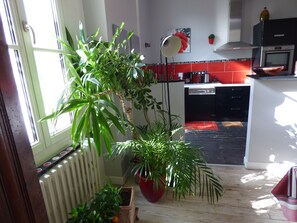 Réfrigérateur, four à micro-ondes, un four, surface de cuisson