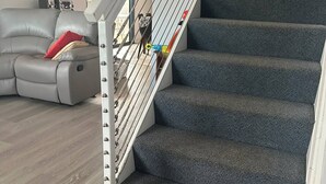 Eine Treppe mit Metallgeländer und Teppichstufen.