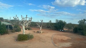 Ein unbefestigter Weg mit spärlicher Vegetation und einigen Bäumen.