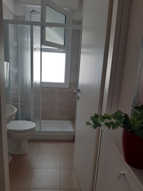 Shower, hair dryer, toilet paper