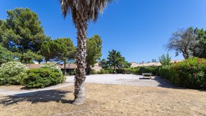 Un barrio residencial con una palmera, un camino pavimentado y un banco.