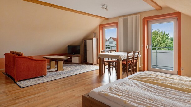 A room with a bed, a sofa, a dining table with chairs, a TV, and a window with a view. - Apartment 'Apfelbaum' with Balcony and Wi-Fi (Obersulm)