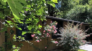 A wooden cabin with a garden, including a flowering bush and a fig tree.