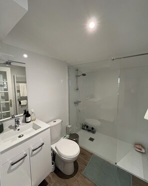 Hair dryer, towels, soap, toilet paper