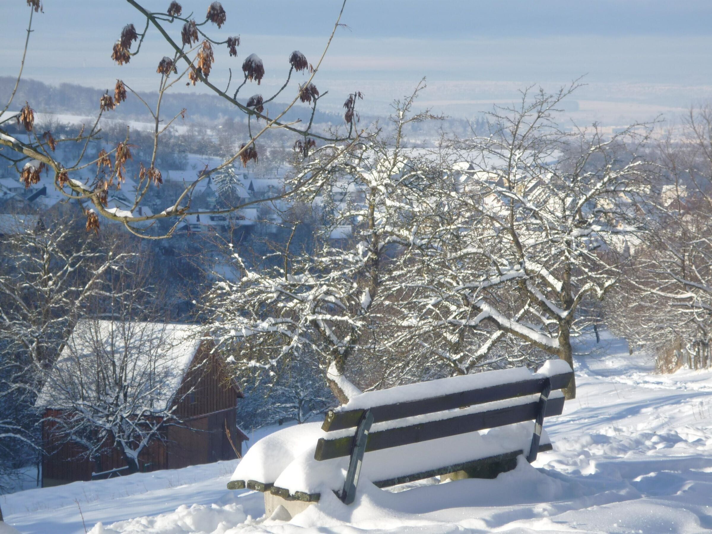 Una panxa de neu sobre una panxa d'un banc en un parc, amb arbres sense fulles i una vista llunyana de cases.