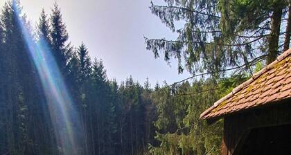 Cozy rustic vacation home in the Bohemian Forest for relaxation, nature and active vacations