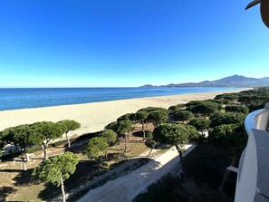On the beach