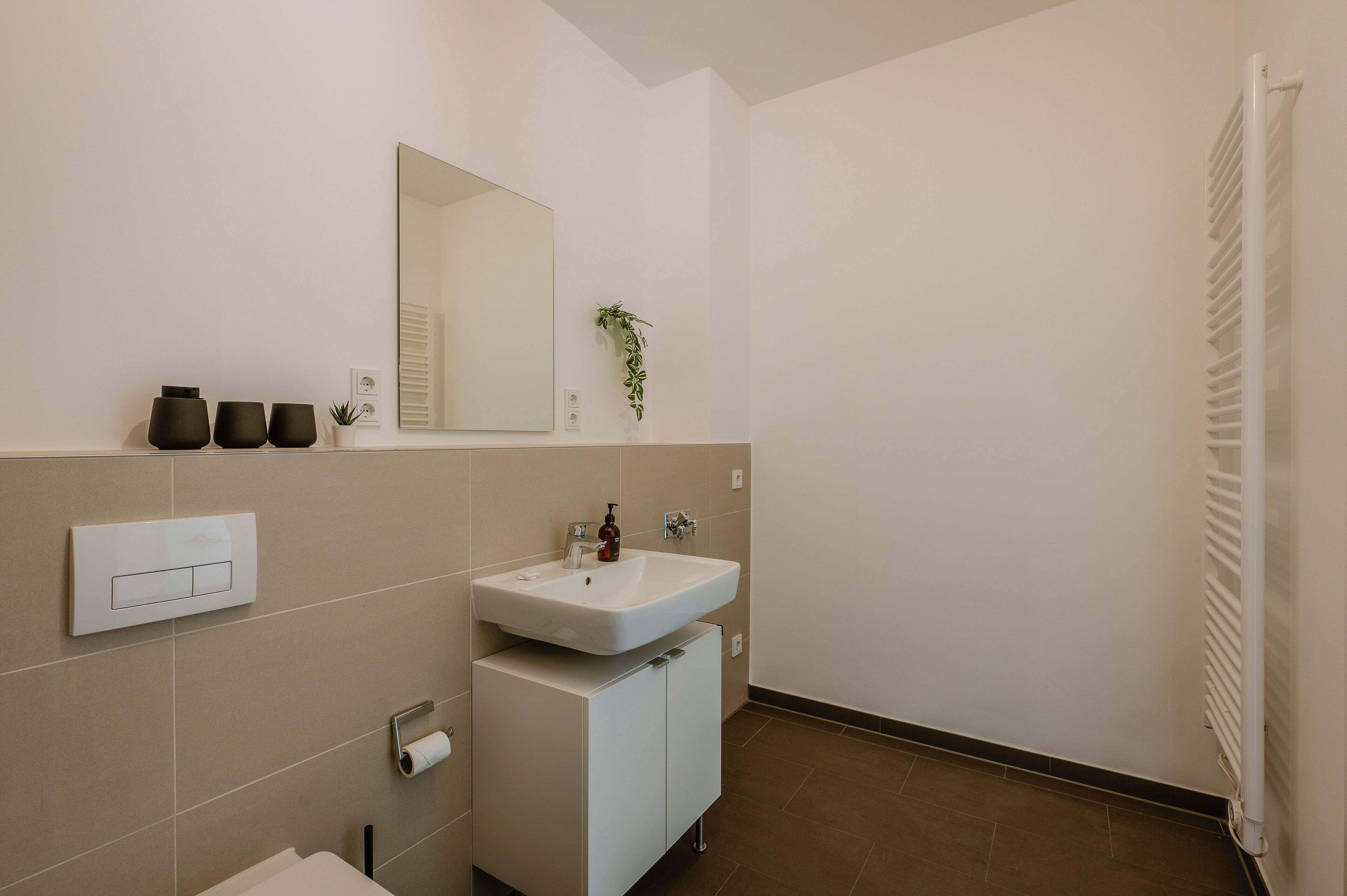 A modern bathroom with a white sink, mirror, and a small potted plant.