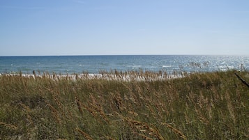 Una spiaggia nelle vicinanze