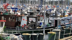 Un puerto deportivo con numerosas embarcaciones amarradas, un muelle de madera y algunos equipos de pesca.