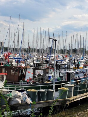 Marina - Baltic Sea Apartment Ostseeclick Damp with E-Bikes and Full Service Included (Damp)