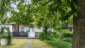 A residential property with a paved driveway, a white house with a black fence, and lush greenery.