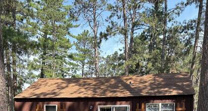 Charming 1-bedroom cabin in wonderful Park Rapids with AC & WIFI. includes Dock.