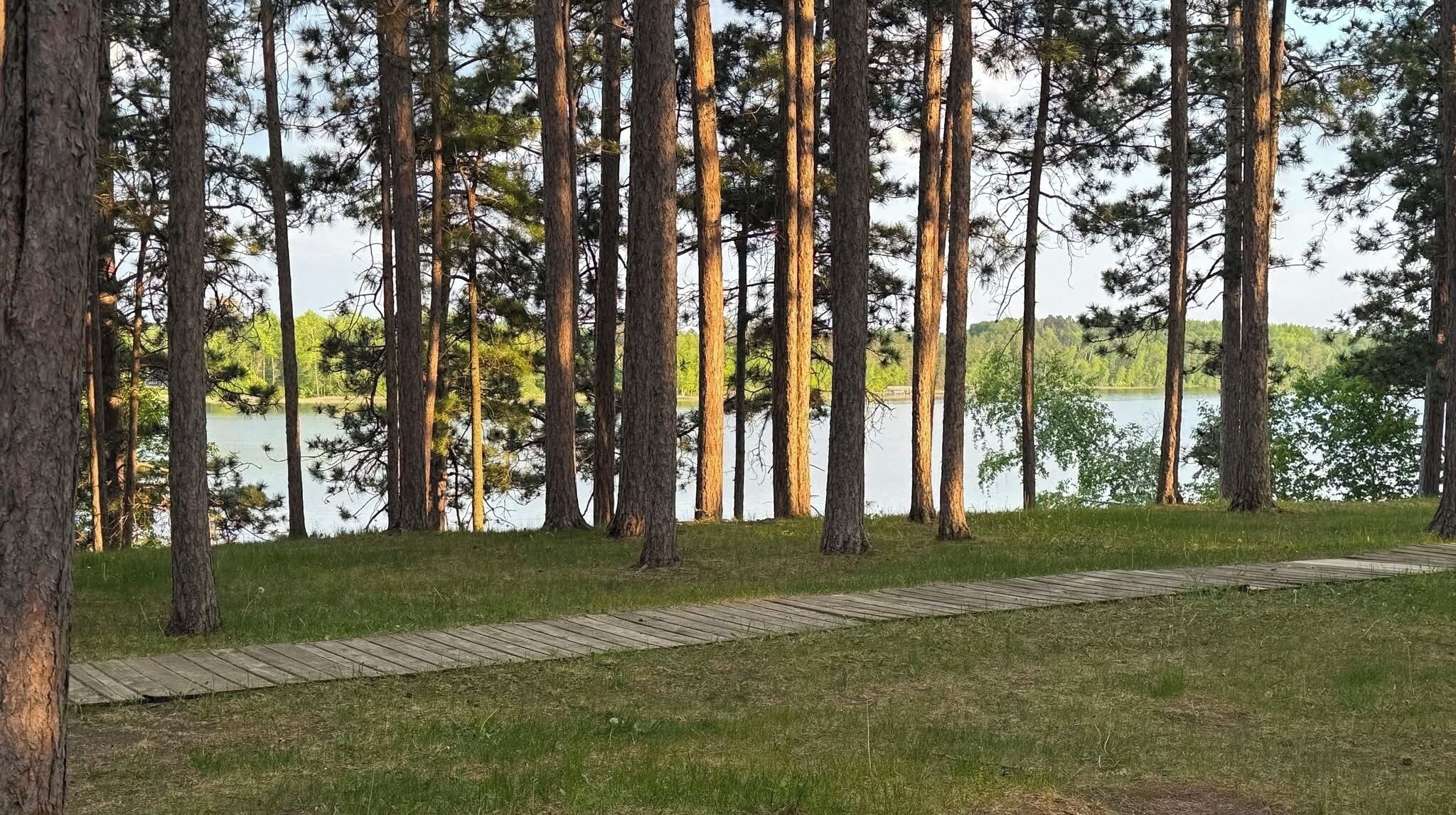 A forested area with a wooden boardwalk leading to a lake.